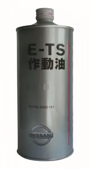 Nissan E-TS Fluid
